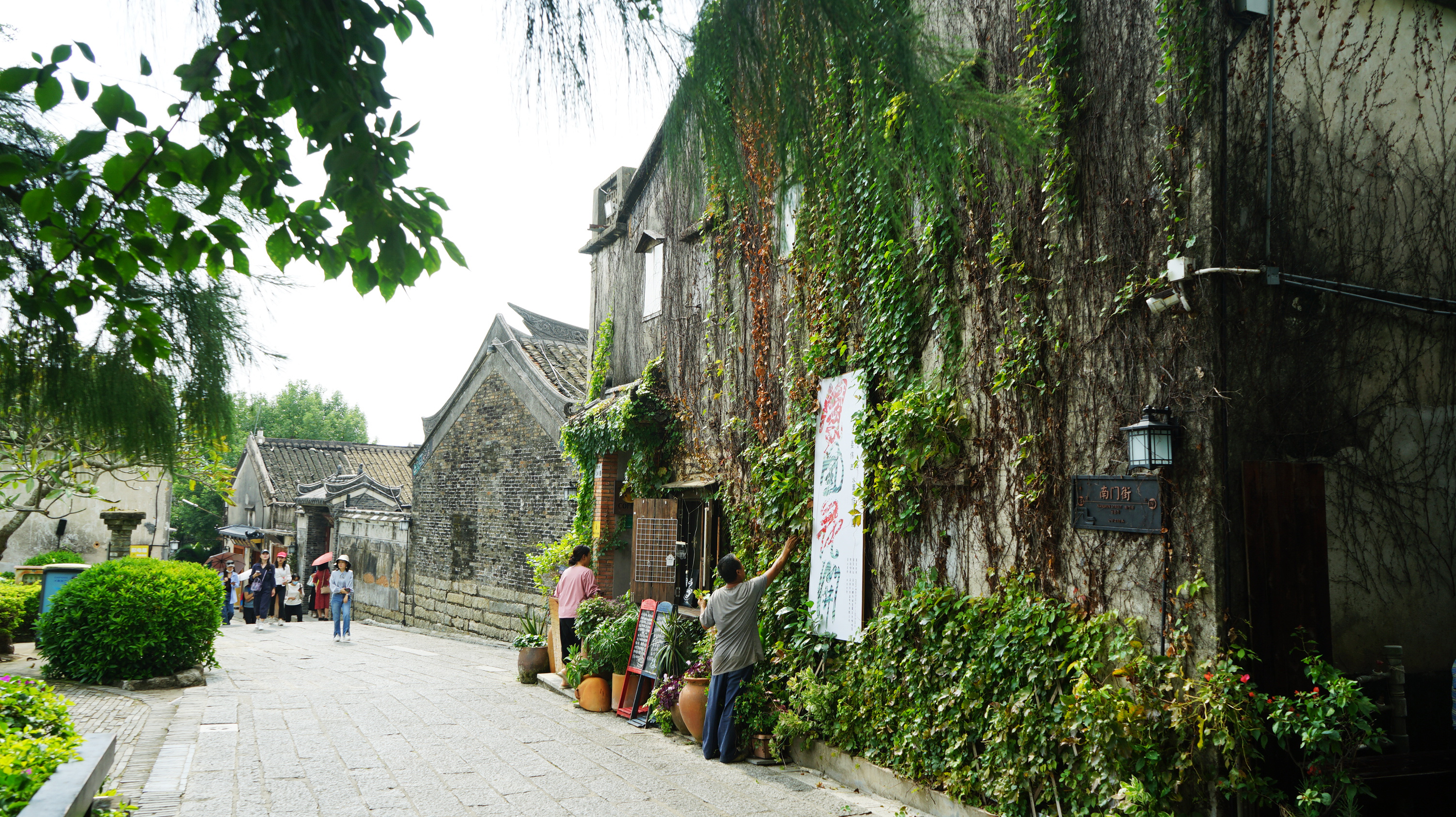 烯灣科技 烯灣科技